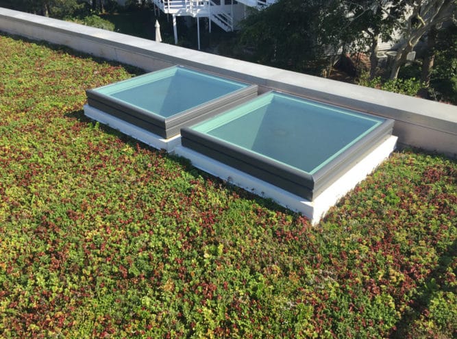 A green roof with two glass skylights, showcasing Live Vegetation Design & Care for Roof Gardens in MA.